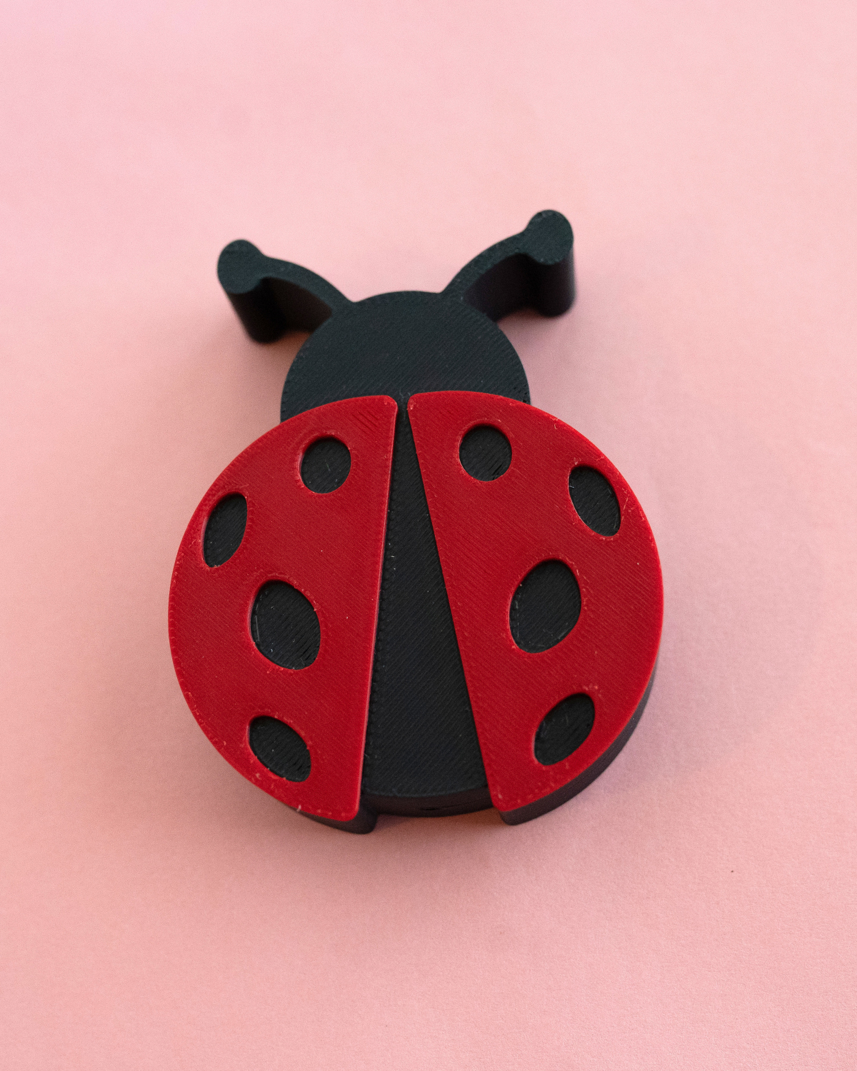 Ladybug Charm